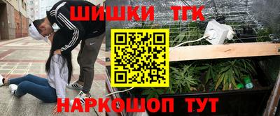 прущие грибы Партизанск