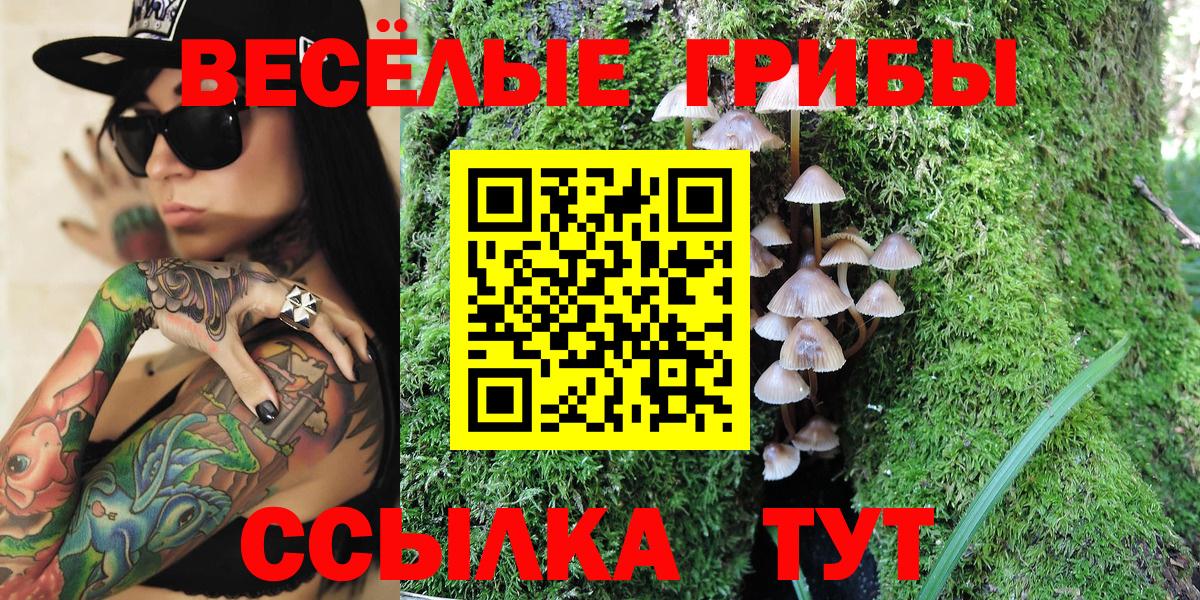 Псилоцибиновые грибы прущие грибы  Вход с VPN  Галлюциногенные грибы мухоморы  закладка  Омск 